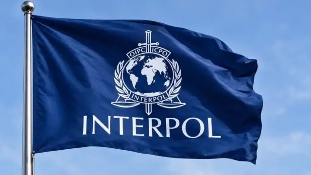 Interpol Red Notice and diffusion cases in Turkey.